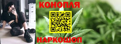 шишки Татарск