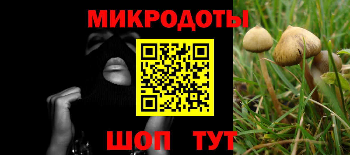 Галлюциногенные грибы GOLDEN TEACHER Протвино